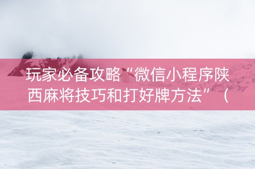 玩家必备攻略“微信小程序陕西麻将技巧和打好牌方法”（挂件神器)