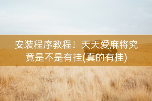 安装程序教程！天天爱麻将究竟是不是有挂(真的有挂)