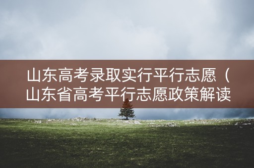 山东高考录取实行平行志愿（山东省高考平行志愿政策解读）