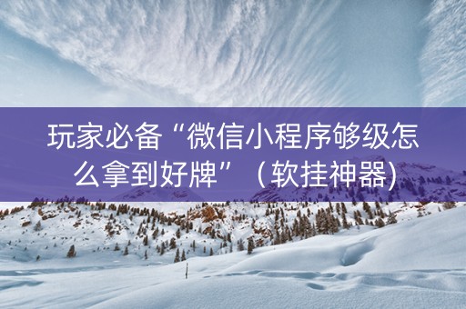 玩家必备“微信小程序够级怎么拿到好牌”（软挂神器)