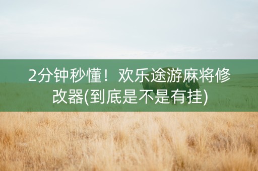 2分钟秒懂！欢乐途游麻将修改器(到底是不是有挂)