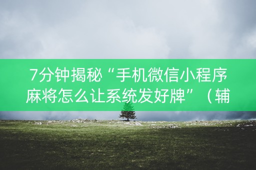 7分钟揭秘“手机微信小程序麻将怎么让系统发好牌”（辅助软件)