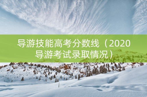 导游技能高考分数线（2020导游考试录取情况）