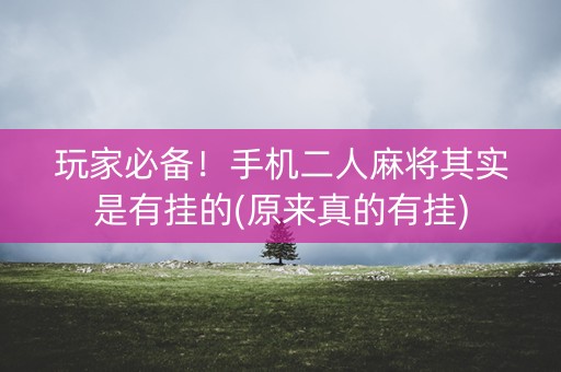 玩家必备！手机二人麻将其实是有挂的(原来真的有挂)