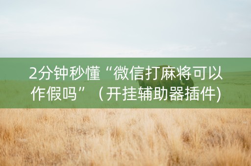 2分钟秒懂“微信打麻将可以作假吗”（开挂辅助器插件)