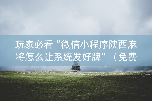 玩家必看“微信小程序陕西麻将怎么让系统发好牌”（免费辅助)