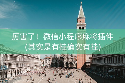 厉害了！微信小程序麻将插件(其实是有挂确实有挂)