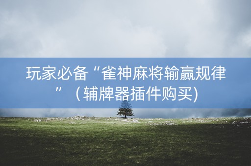 玩家必备“雀神麻将输赢规律”（辅牌器插件购买)
