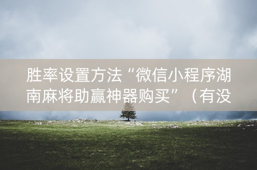胜率设置方法“微信小程序湖南麻将助赢神器购买”（有没有猫腻)