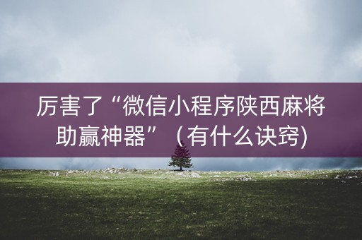厉害了“微信小程序陕西麻将助赢神器”（有什么诀窍)