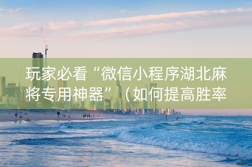 玩家必看“微信小程序湖北麻将专用神器”（如何提高胜率)