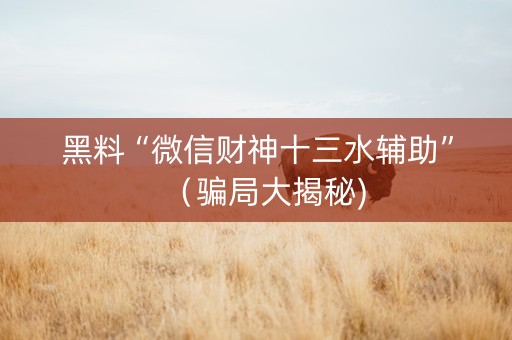 黑料“微信财神十三水辅助”（骗局大揭秘)