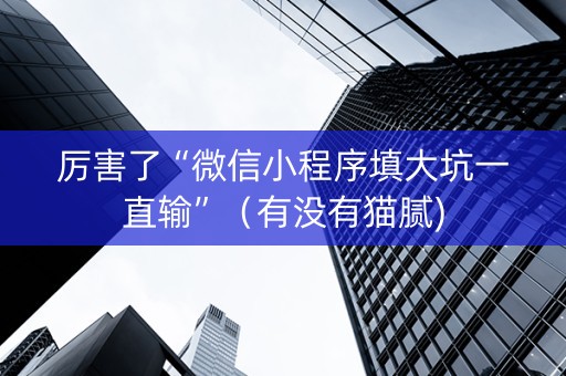 厉害了“微信小程序填大坑一直输”（有没有猫腻)