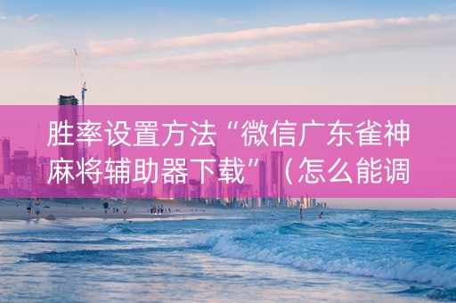 胜率设置方法“微信广东雀神麻将辅助器下载”（怎么能调好牌)