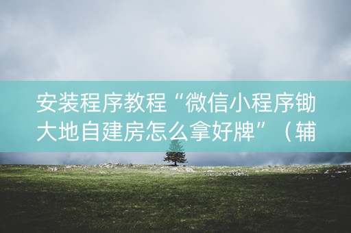 安装程序教程“微信小程序锄大地自建房怎么拿好牌”（辅助器通用版)