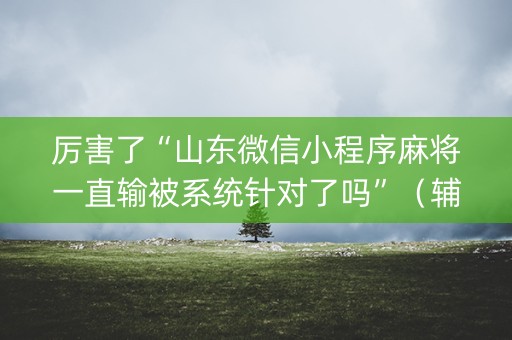 厉害了“山东微信小程序麻将一直输被系统针对了吗”（辅助器插件)