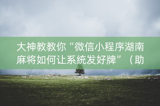 大神教教你“微信小程序湖南麻将如何让系统发好牌”（助攻神器)