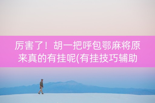 厉害了！胡一把呼包鄂麻将原来真的有挂呢(有挂技巧辅助器)