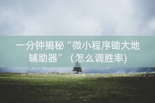 一分钟揭秘“微小程序锄大地辅助器”（怎么调胜率)