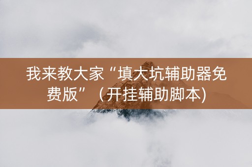 我来教大家“填大坑辅助器免费版”（开挂辅助脚本)