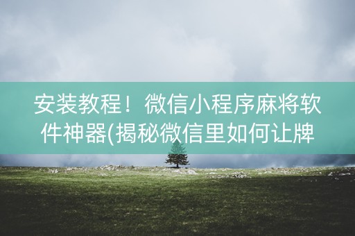 安装教程！微信小程序麻将软件神器(揭秘微信里如何让牌变好)