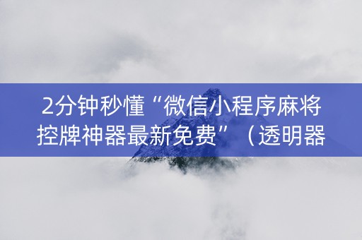 2分钟秒懂“微信小程序麻将控牌神器最新免费”（透明器教程)