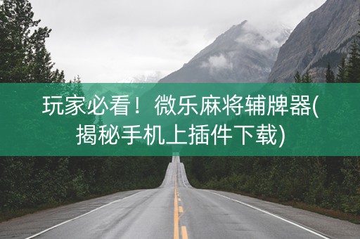 玩家必看！微乐麻将辅牌器(揭秘手机上插件下载)