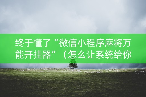 终于懂了“微信小程序麻将万能开挂器”（怎么让系统给你发好牌)