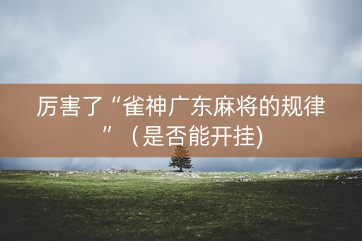 厉害了“雀神广东麻将的规律”（是否能开挂)