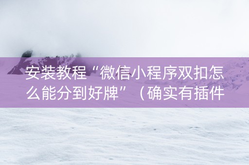 安装教程“微信小程序双扣怎么能分到好牌”（确实有插件吗)
