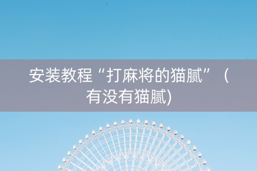 安装教程“打麻将的猫腻”（有没有猫腻)