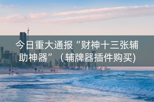 今日重大通报“财神十三张辅助神器”（辅牌器插件购买)