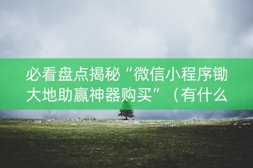 必看盘点揭秘“微信小程序锄大地助赢神器购买”（有什么规律)