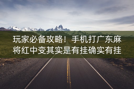 玩家必备攻略！手机打广东麻将红中变其实是有挂确实有挂(确实有挂)