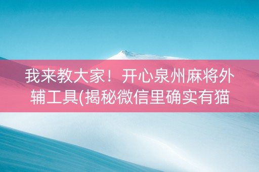 我来教大家！开心泉州麻将外辅工具(揭秘微信里确实有猫腻)