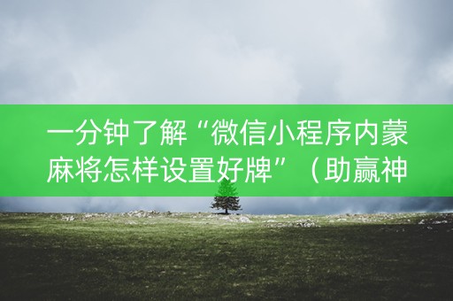 一分钟了解“微信小程序内蒙麻将怎样设置好牌”（助赢神器购买)