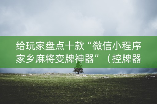 给玩家盘点十款“微信小程序家乡麻将变牌神器”（控牌器)