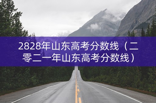 2828年山东高考分数线（二零二一年山东高考分数线）