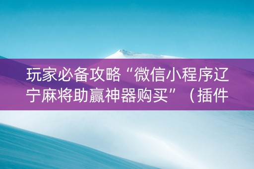 玩家必备攻略“微信小程序辽宁麻将助赢神器购买”（插件可信吗)