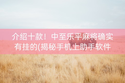 介绍十款！中至乐平麻将确实有挂的(揭秘手机上助手软件)