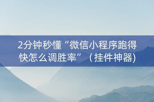 2分钟秒懂“微信小程序跑得快怎么调胜率”（挂件神器)