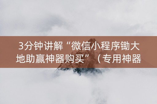 3分钟讲解“微信小程序锄大地助赢神器购买”（专用神器下载)