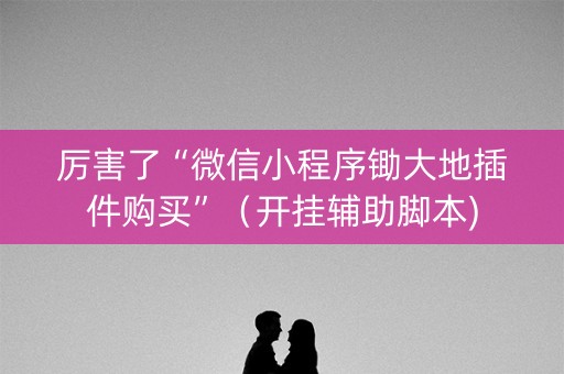 厉害了“微信小程序锄大地插件购买”（开挂辅助脚本)