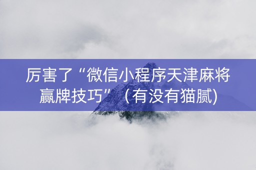 厉害了“微信小程序天津麻将赢牌技巧”（有没有猫腻)