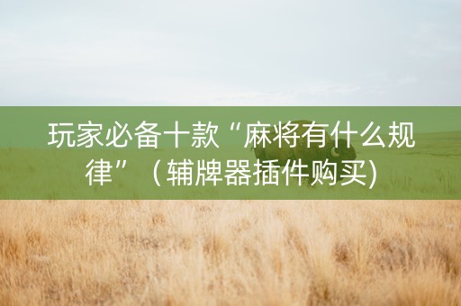 玩家必备十款“麻将有什么规律”（辅牌器插件购买)