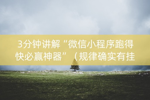 3分钟讲解“微信小程序跑得快必赢神器”（规律确实有挂)