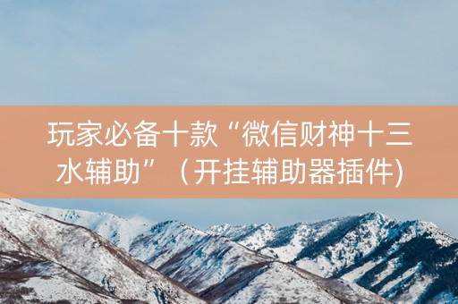 玩家必备十款“微信财神十三水辅助”（开挂辅助器插件)