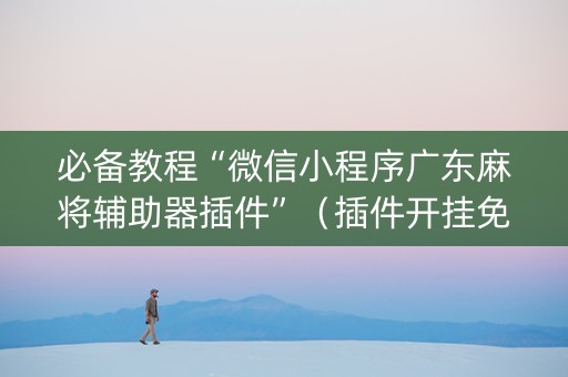 必备教程“微信小程序广东麻将辅助器插件”（插件开挂免费AI)