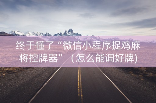 终于懂了“微信小程序捉鸡麻将控牌器”（怎么能调好牌)