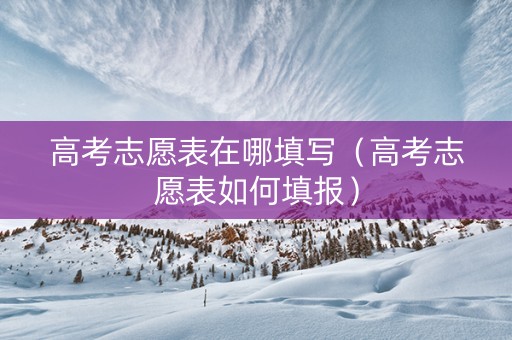 高考志愿表在哪填写（高考志愿表如何填报）